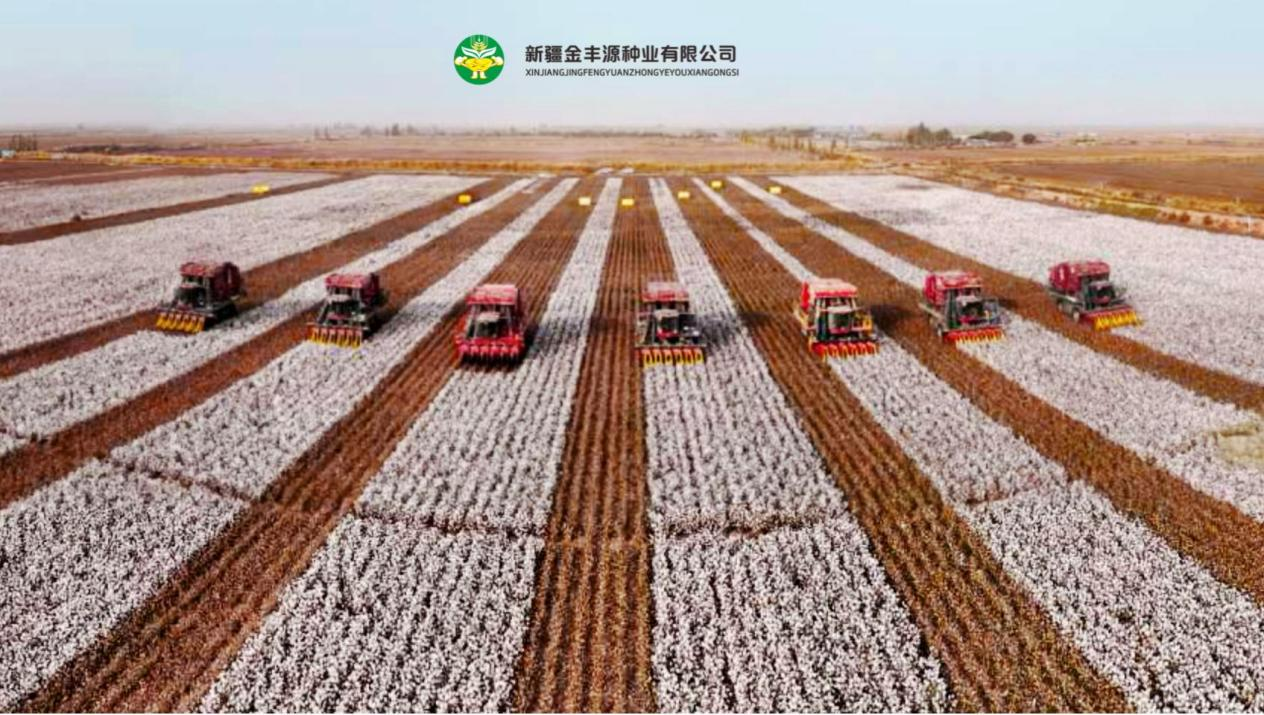 圖片10.png 圖片10.png