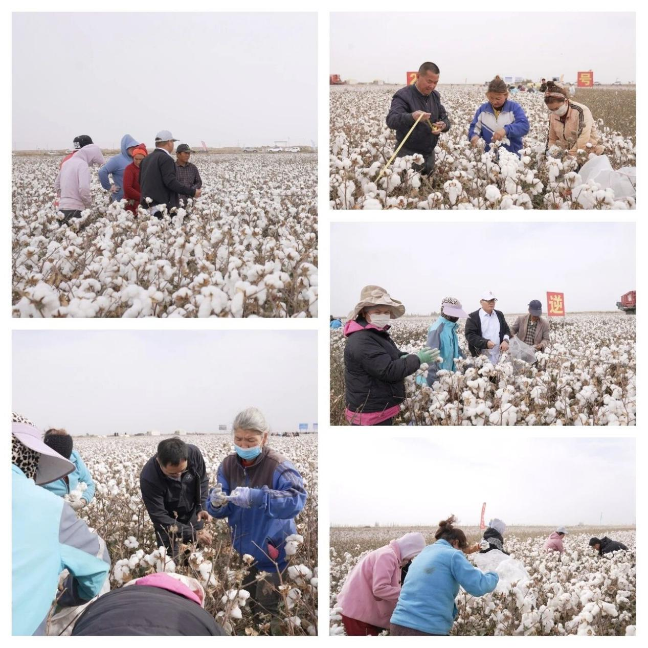 圖片9.png 圖片9.png